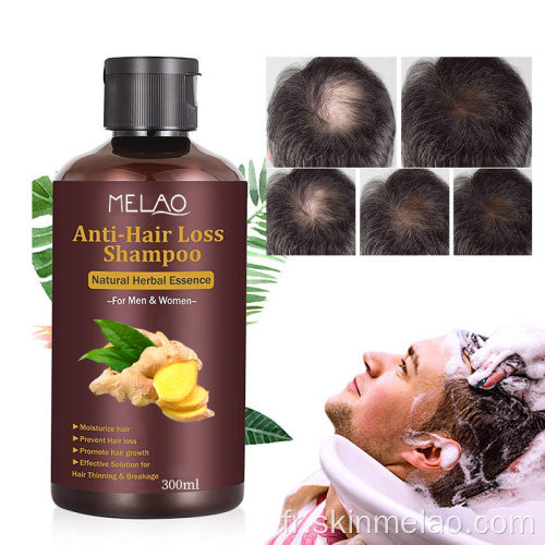 Shampooing de croissance des cheveux Polygonum Multiflorum Ginger Rebrowth